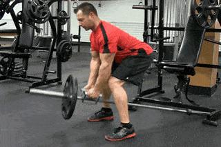 t杠划船腹部不舒服,t型划船为什么没人练