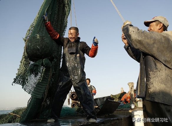 渔民直播卖虾,小渔村卖海鲜一年赚50亿