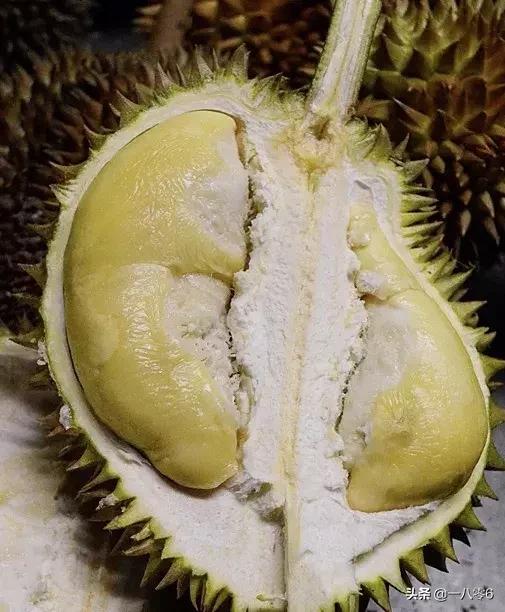 打卡成都最便宜最火爆的甜品自助,成都哪家自助的甜品最好吃