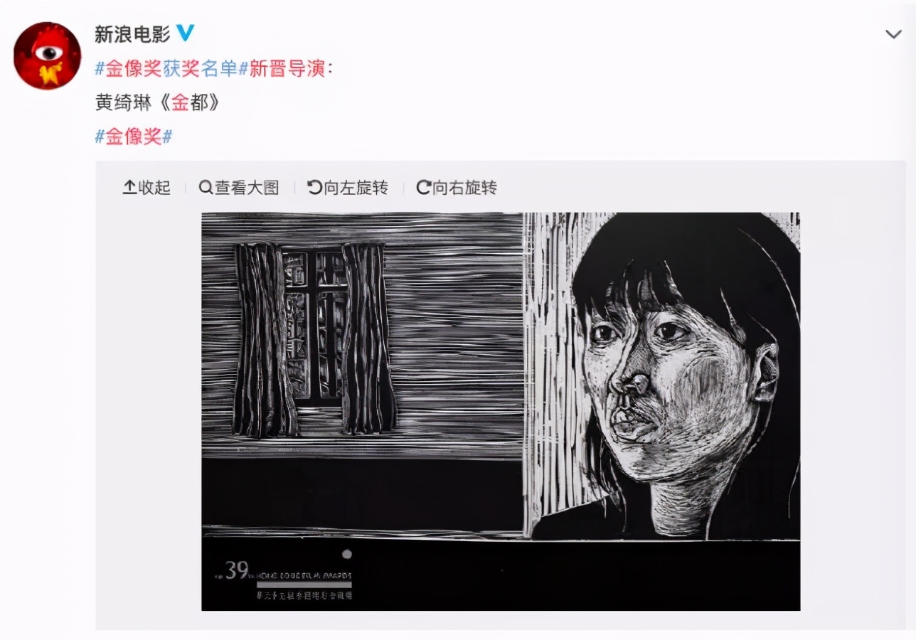 国内没有公映的国产片,没有公映的国产片