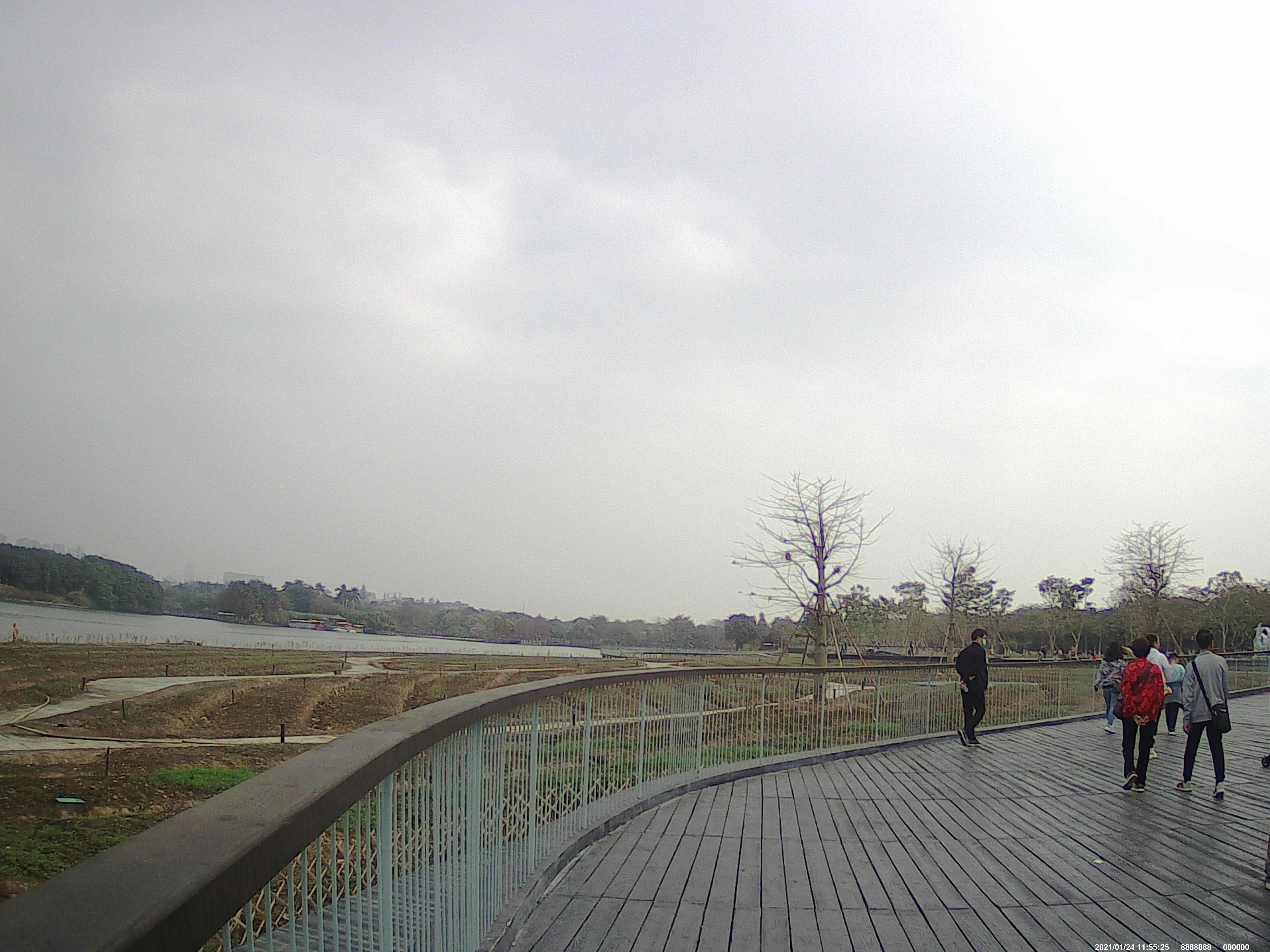 广州海珠湖,海珠湖变化