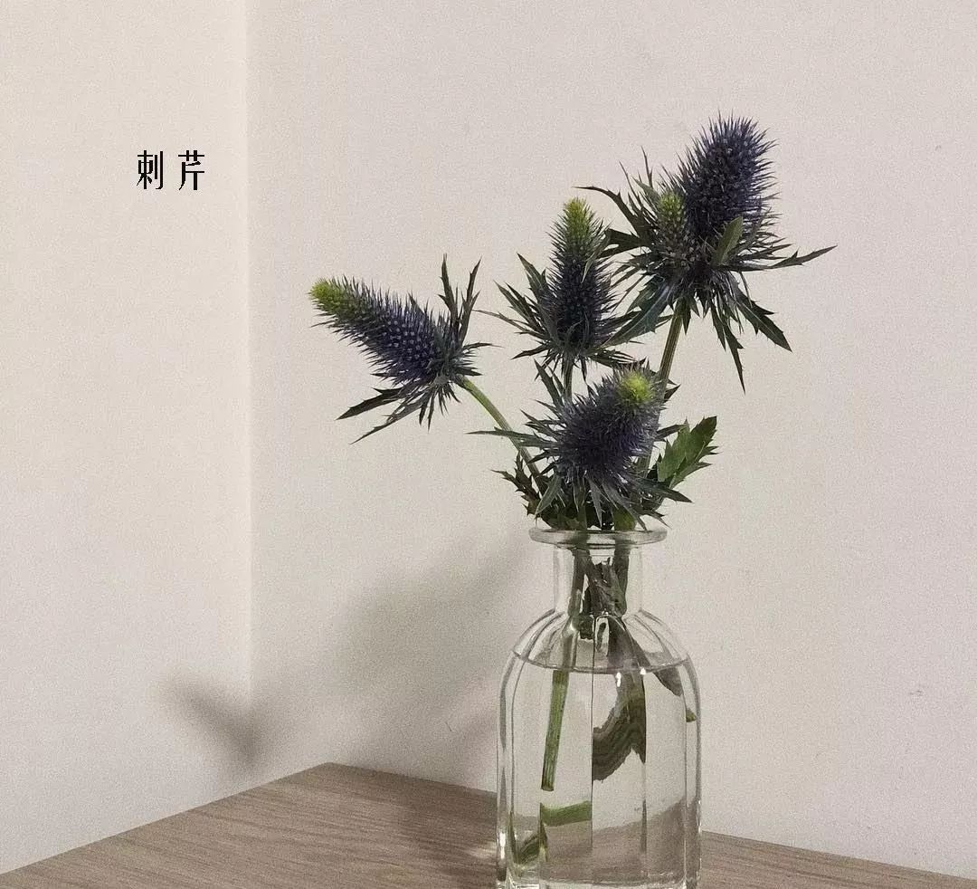 鲜花店常见花材品种大全,花店里同款的两种不同价格的花材