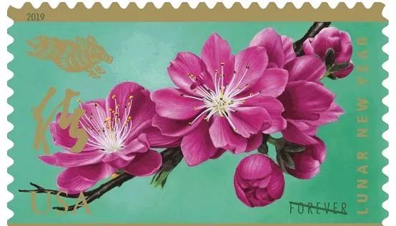 2019己亥年生肖邮票珍藏,猪年己亥年邮票