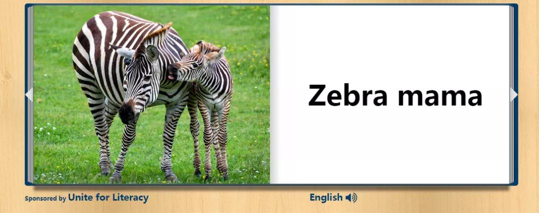 十大有趣的宝藏网站,十大实用宝藏网站