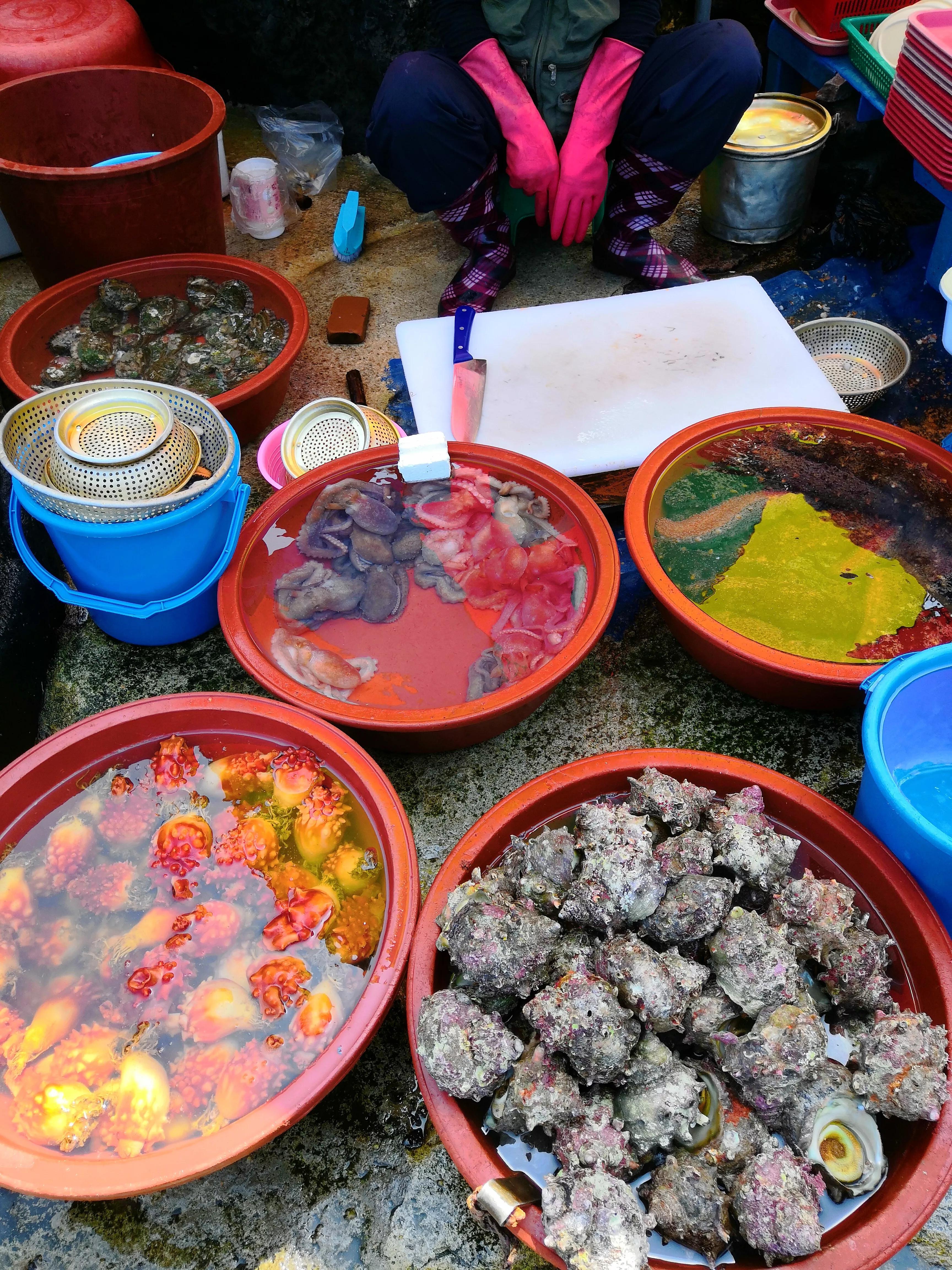 在济州岛发呆的日子,济州岛散心