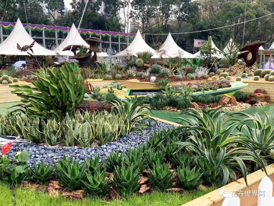 共赴盛会活动,香港国际花卉展