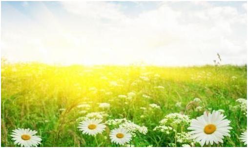 想要知道你们是不是在互相暗恋，可以试试这三个办法，赶紧在一起