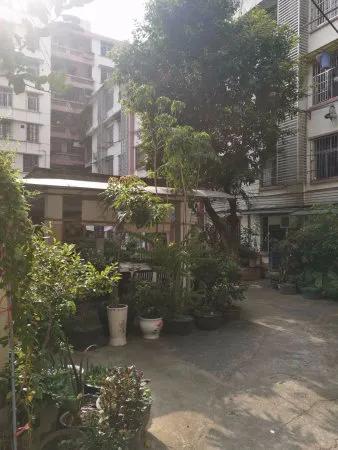 越秀区黄花小学,越秀区华侨小学学位房