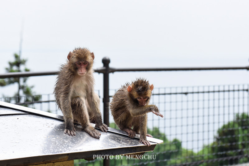日本由布院温泉介绍,日本温泉胜地别府