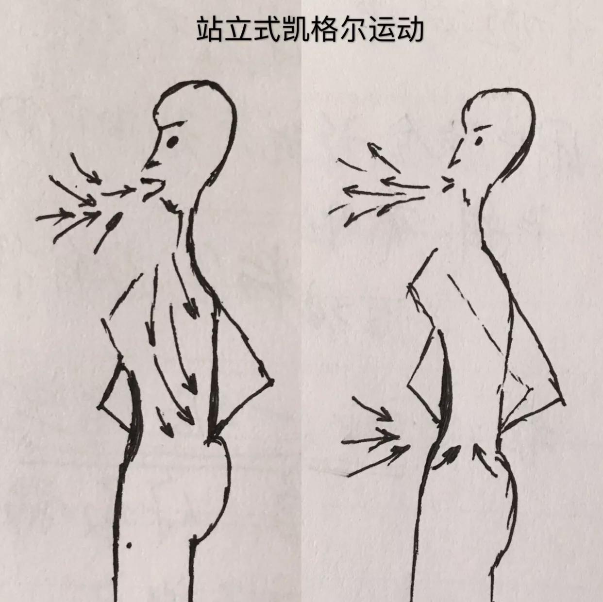 产后子宫下垂、漏尿,便秘,医生都没啥好办法,这2招却很管用