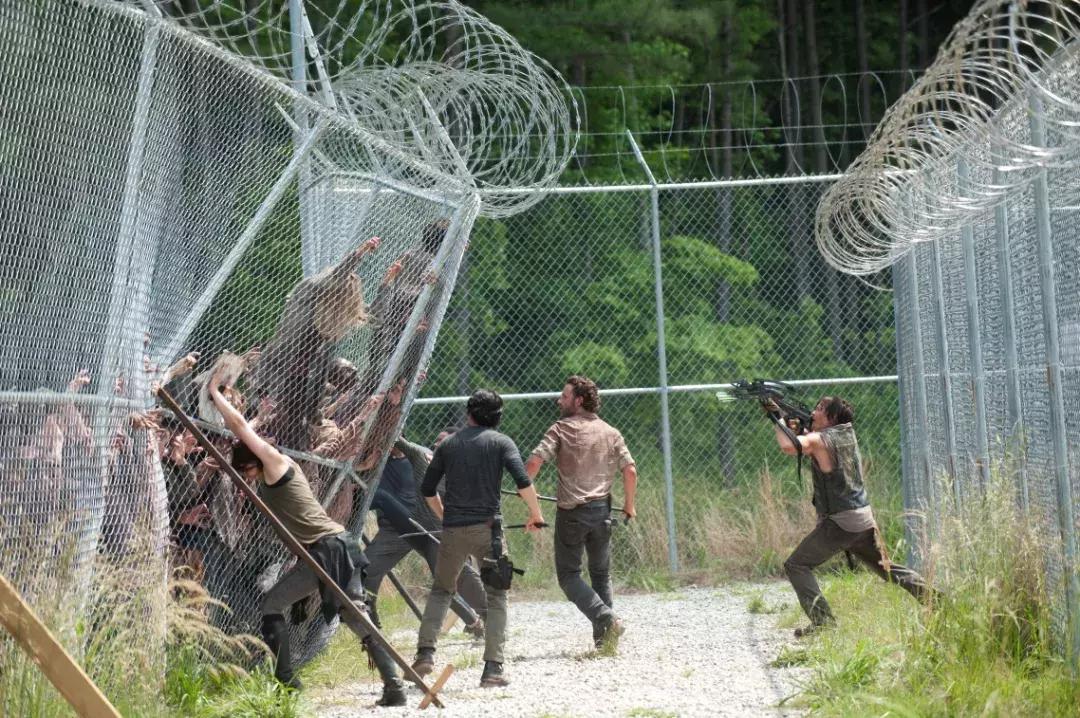 行尸走肉目前到第几季了,行尸走肉复播