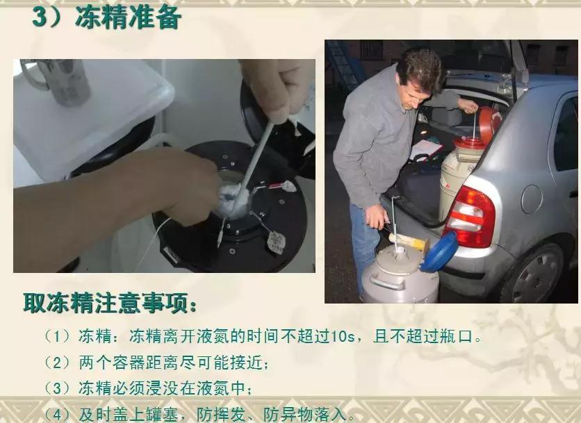 史上最细的打法技巧,输精法的技术要点和注意事项