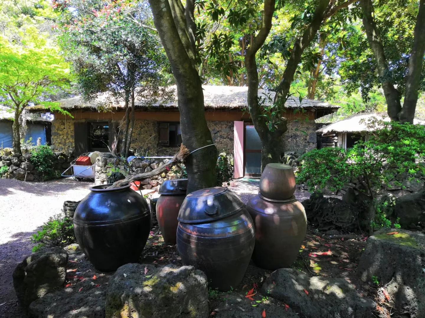 心血来潮去爬山,想去济州岛看海