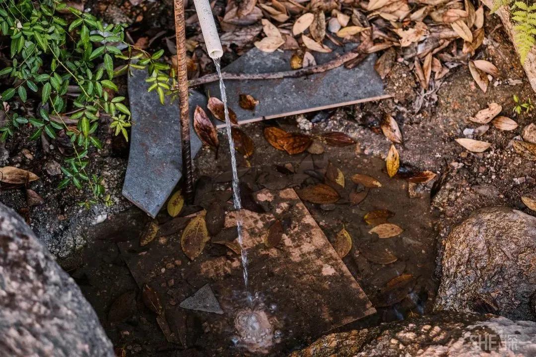 深圳原始登山道视频,深圳首个手工木栈道