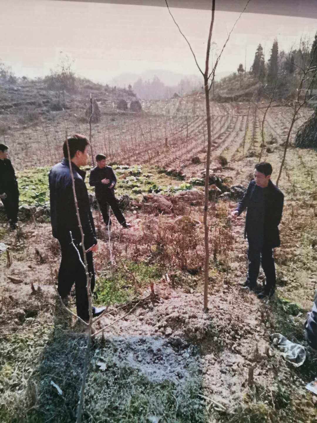 中国光彩事业基金会靠谱么,中国光彩事业基金会官网