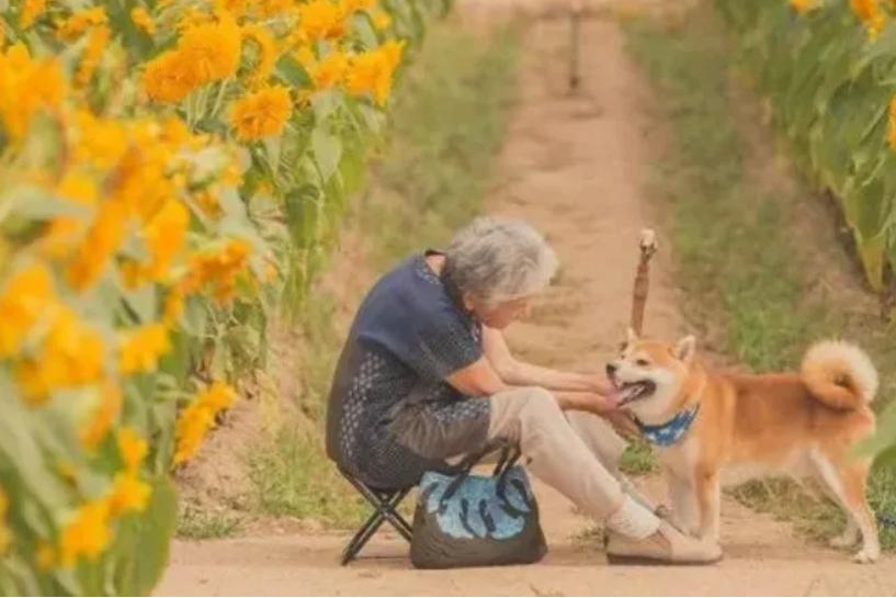 一首歌唱哭无数人原唱,一首歌唱尽多少人的心酸泪