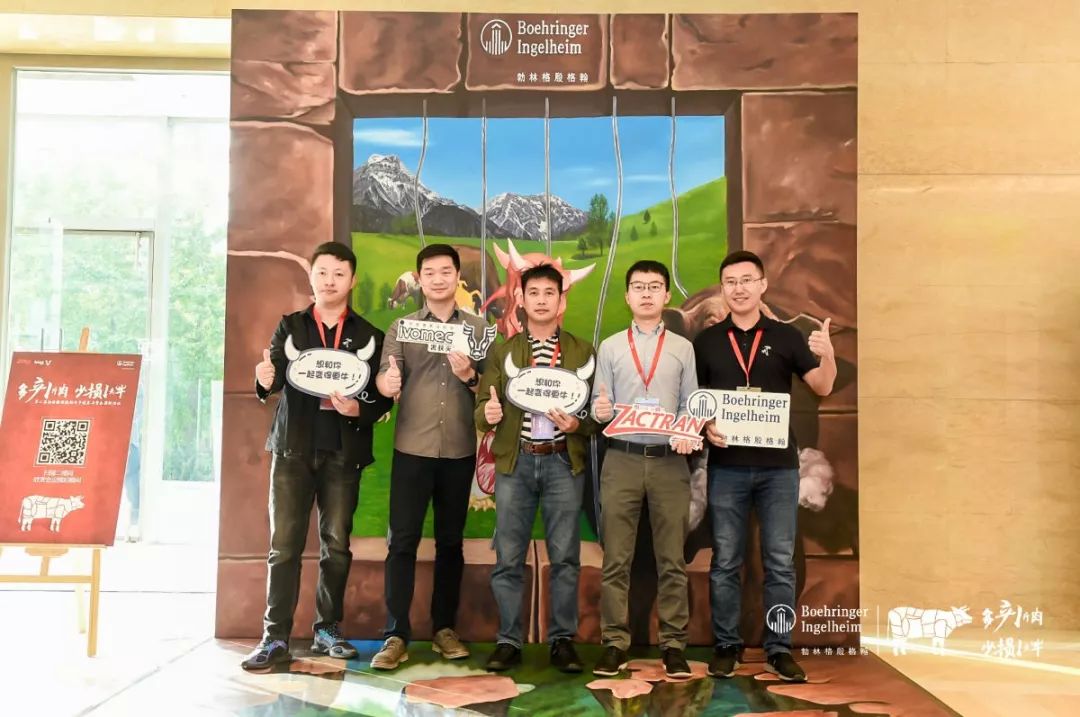 这一次，风口上站的是肉牛