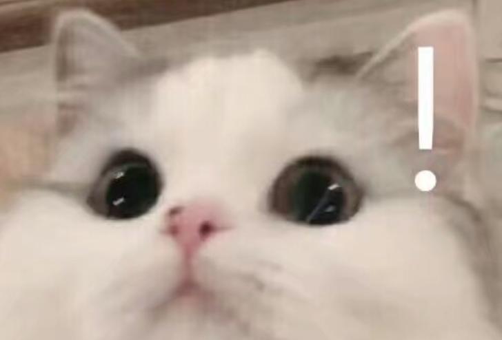 几十万豪华别墅,十几亿的顶级豪宅