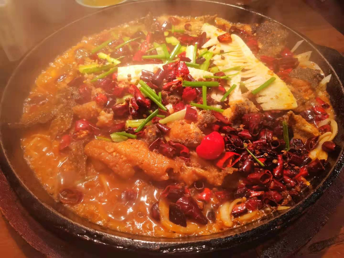 青岛老板恋上鱼,老板恋上鱼曝光