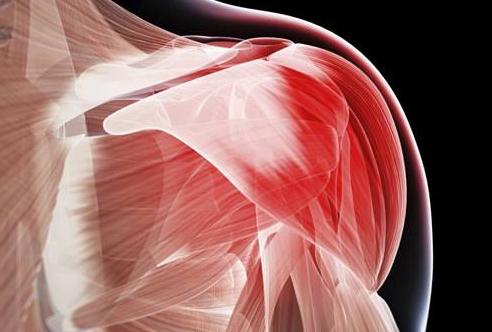 肌肉萎缩还能恢复吗？注意事项是什么？