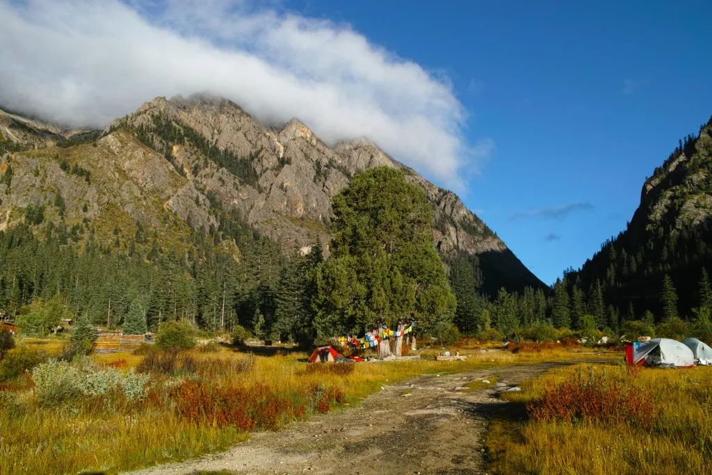 丁真和四川什么关系,丁真背后是谁