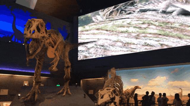 开放首日实探国家海洋博物馆，史上最抢手博物馆究竟长什么样