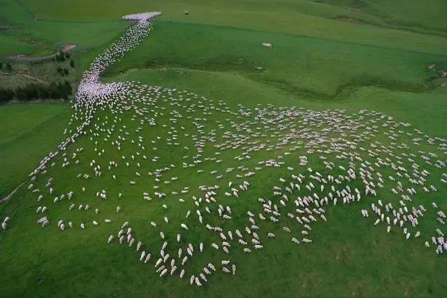 中国至今没被认全的20个邻居,个个身怀宝藏,你知道几个?