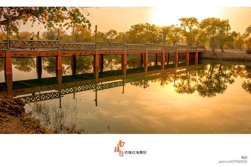 在贫困里开花——巴楚县——小姣的旅游储备计划七