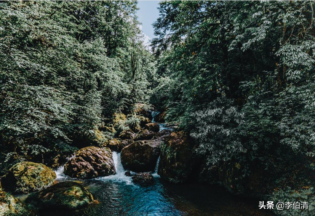 论耍，川A大军，世界第一！（内含免费耍福利）