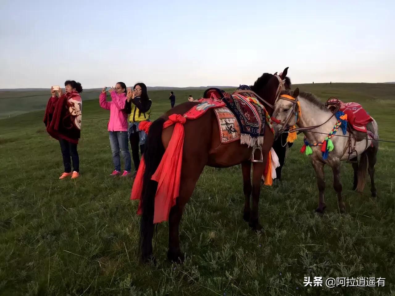 青海湖旅游小环线攻略路线推荐,暑假青海湖三日游旅游攻略
