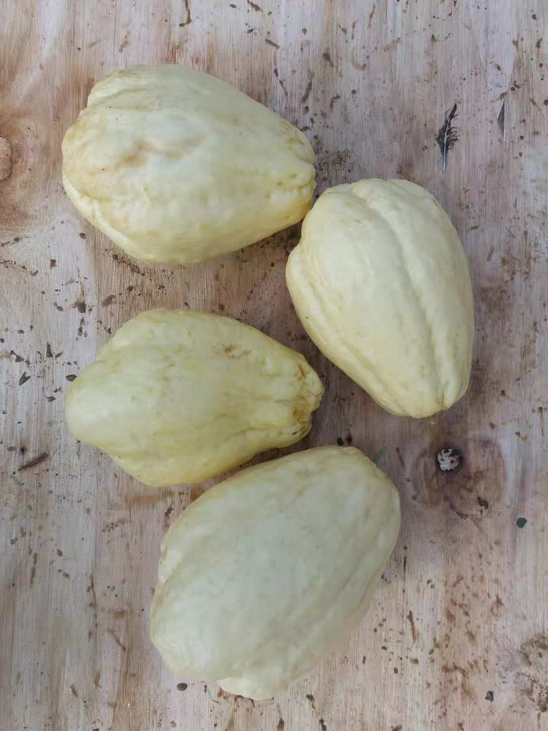 佛手瓜有哪些变种,佛手瓜有雄雌之分吗