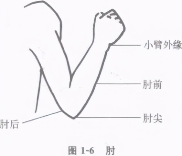 主动擒拿及被动擒拿术,擒拿格斗教学视频擒拿术