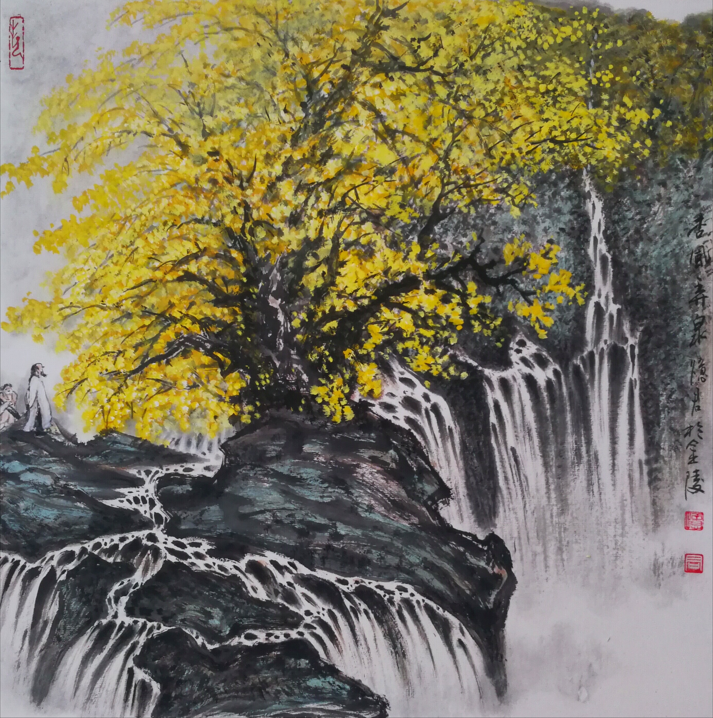 忆君银杏作品欣赏,忆君银杏画