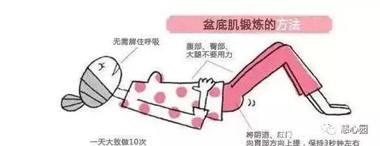 产后骨盆修复和盆底肌修复,骨盆修复和盆底肌修复有什么区别