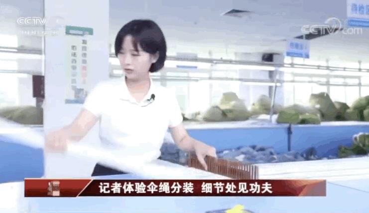 王冰冰和庄晓莹谁漂亮,央视花旦王冰冰