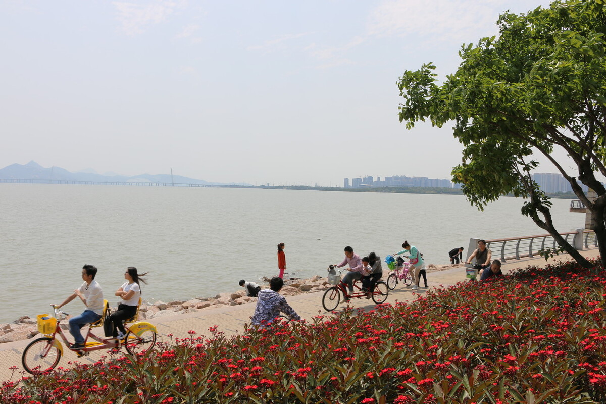 深圳大鹏湾旅游景点要门票吗,深圳免门票景点推荐