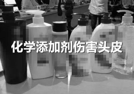 头发发质很蓬松而且很毛躁 (头发稀少不蓬松出油还厉害)