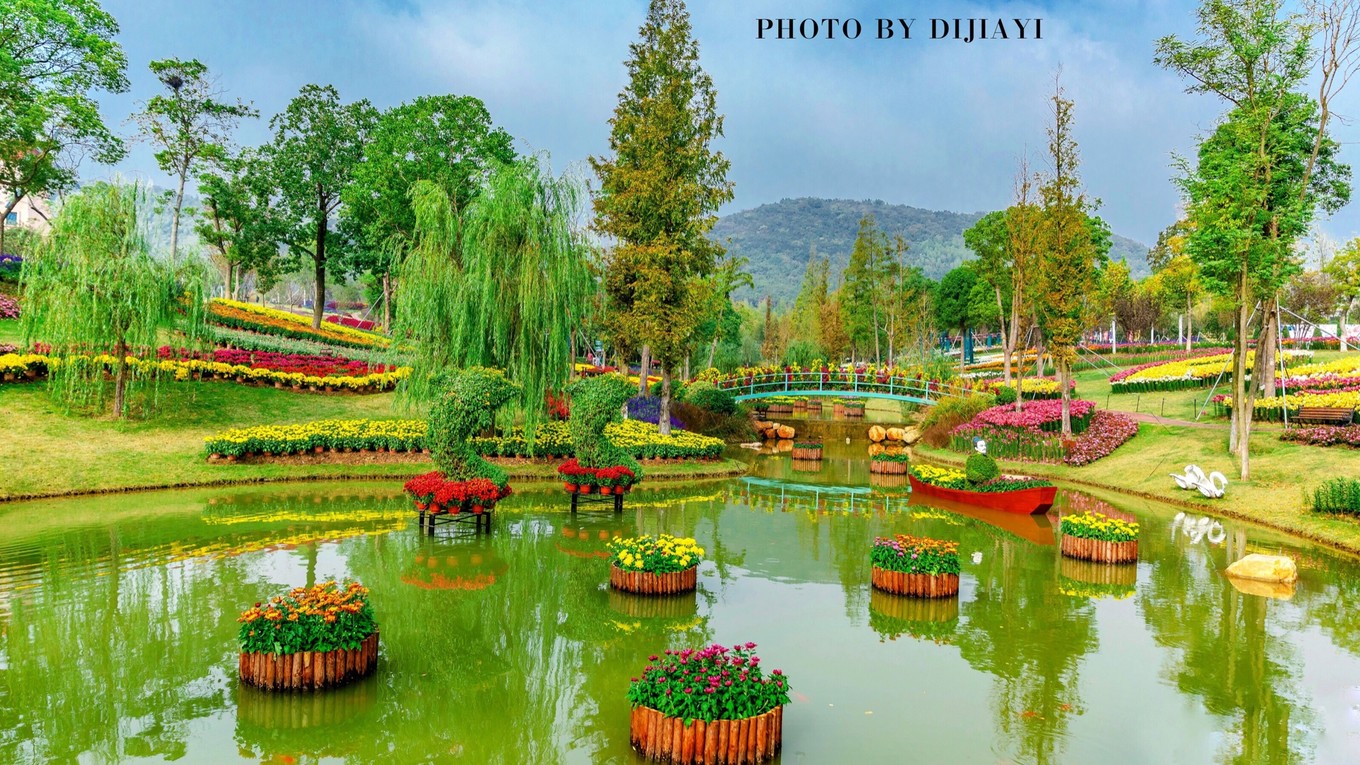 金坛花谷奇缘几月开花,金坛花谷奇缘地图