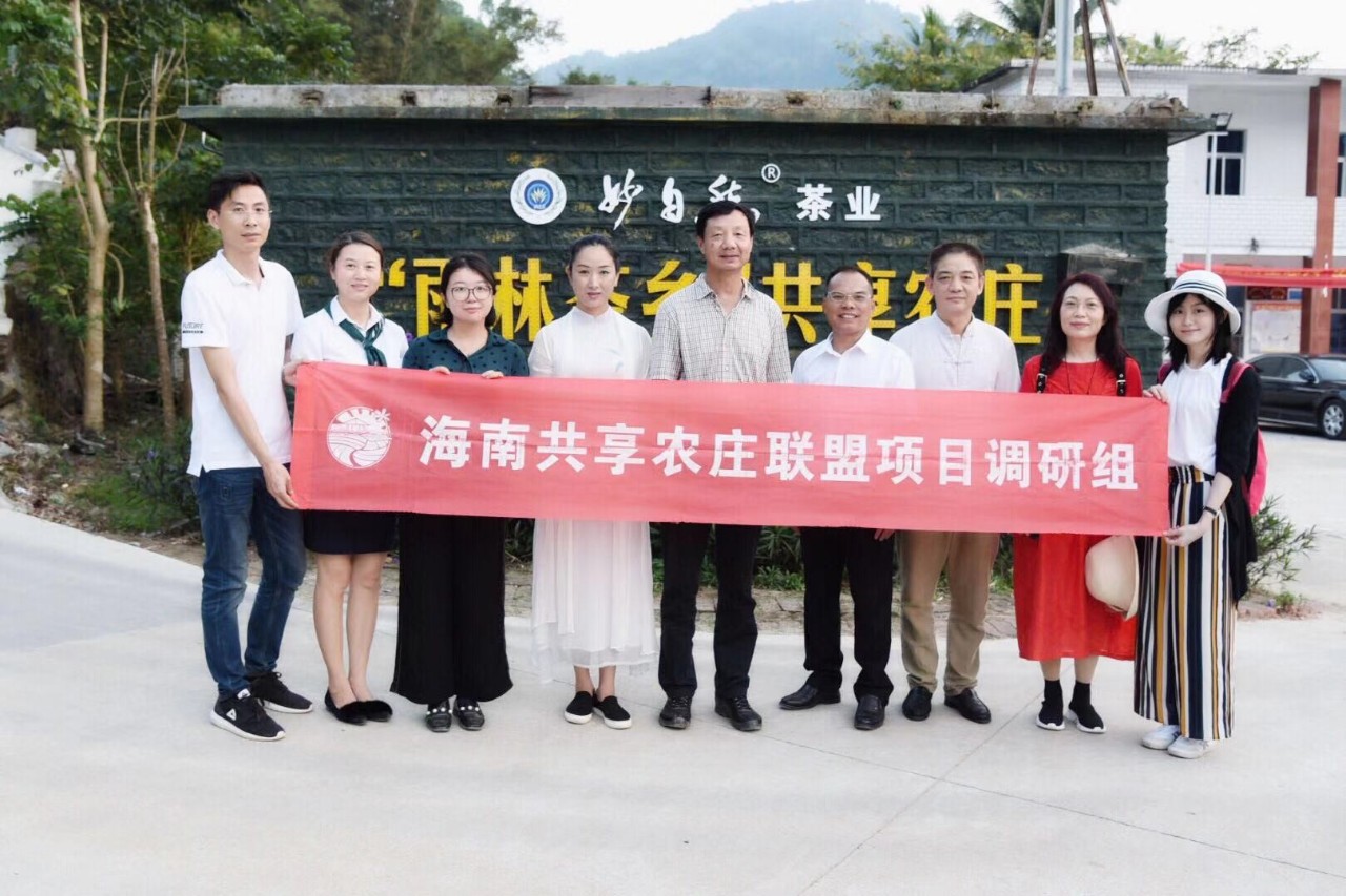 调研联盟,联合调研乡村振兴