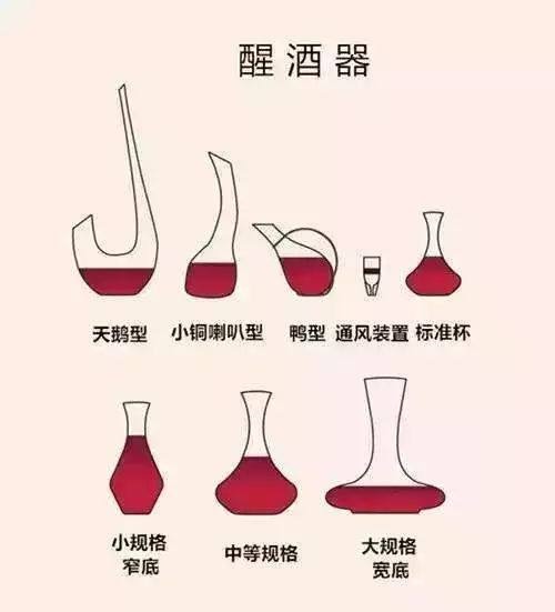 怎样学习红酒入门,红酒知识入门视频教程