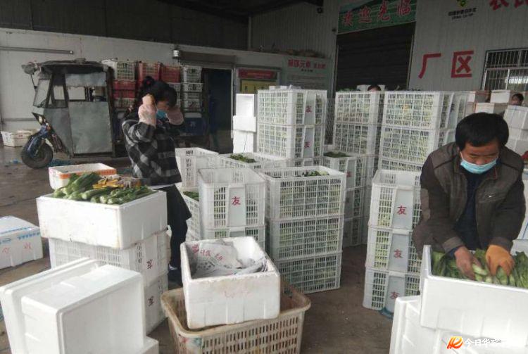 信息化助农行动常德,信息化助农行动农业生产融资难