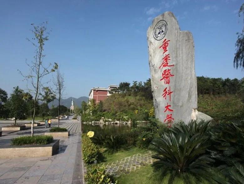 106所医药类大学排名！“哈医大”进入前10强！