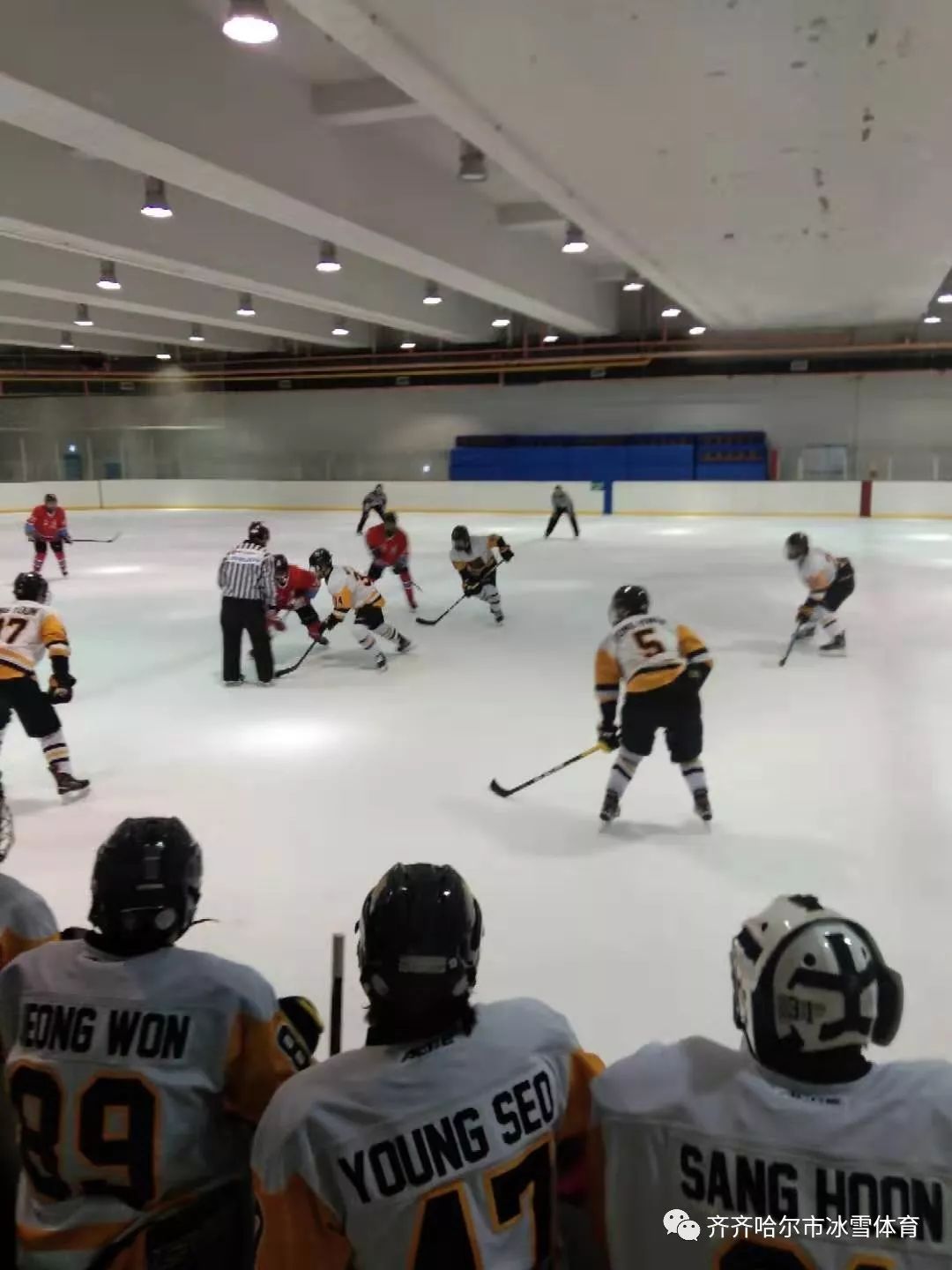 齐齐哈尔市冰雪体育,齐齐哈尔市冰雪运动赛事统计表