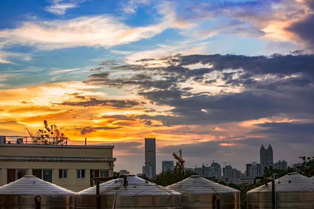 春季养生美容汤,春季养生怎么吃一周汤谱请收好