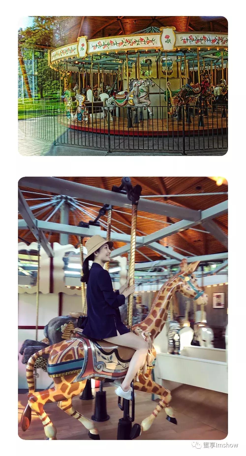 走进爱丽丝梦游仙境,爱丽丝梦游仙境绝美森林