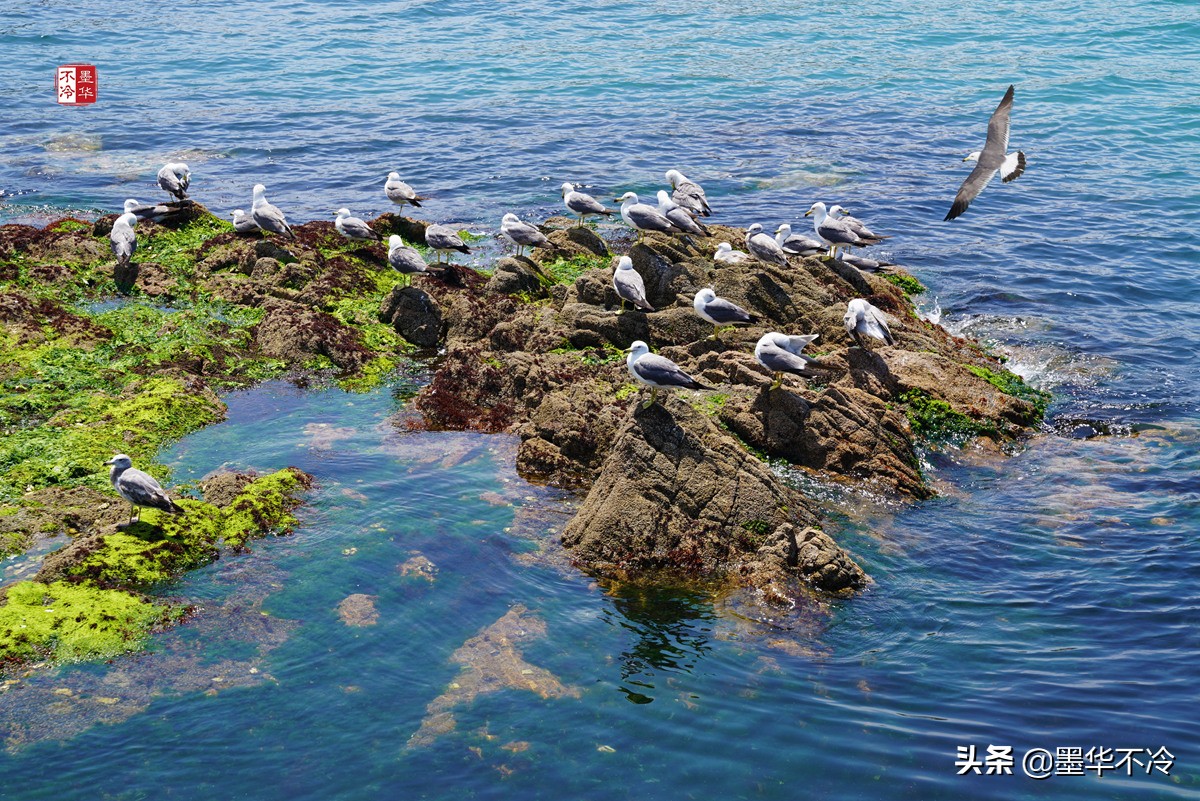 威海5月游记,威海最美一日游