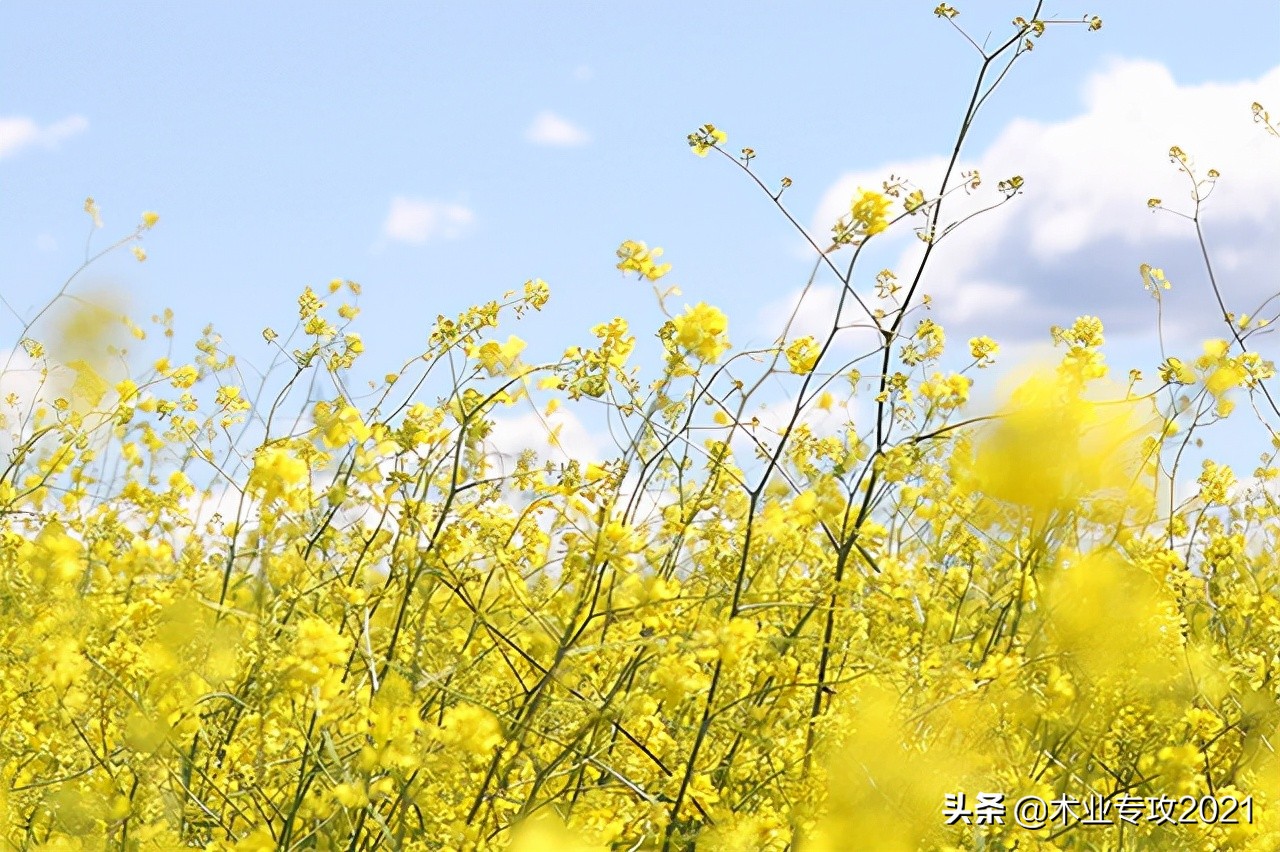 机房是怎么搭建的,机房是怎么布线的