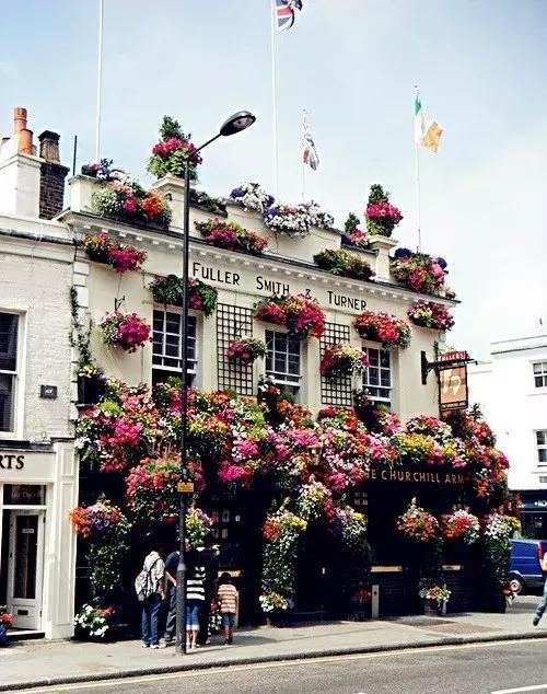 开一个花店指南,如果你也想开一家花店书籍