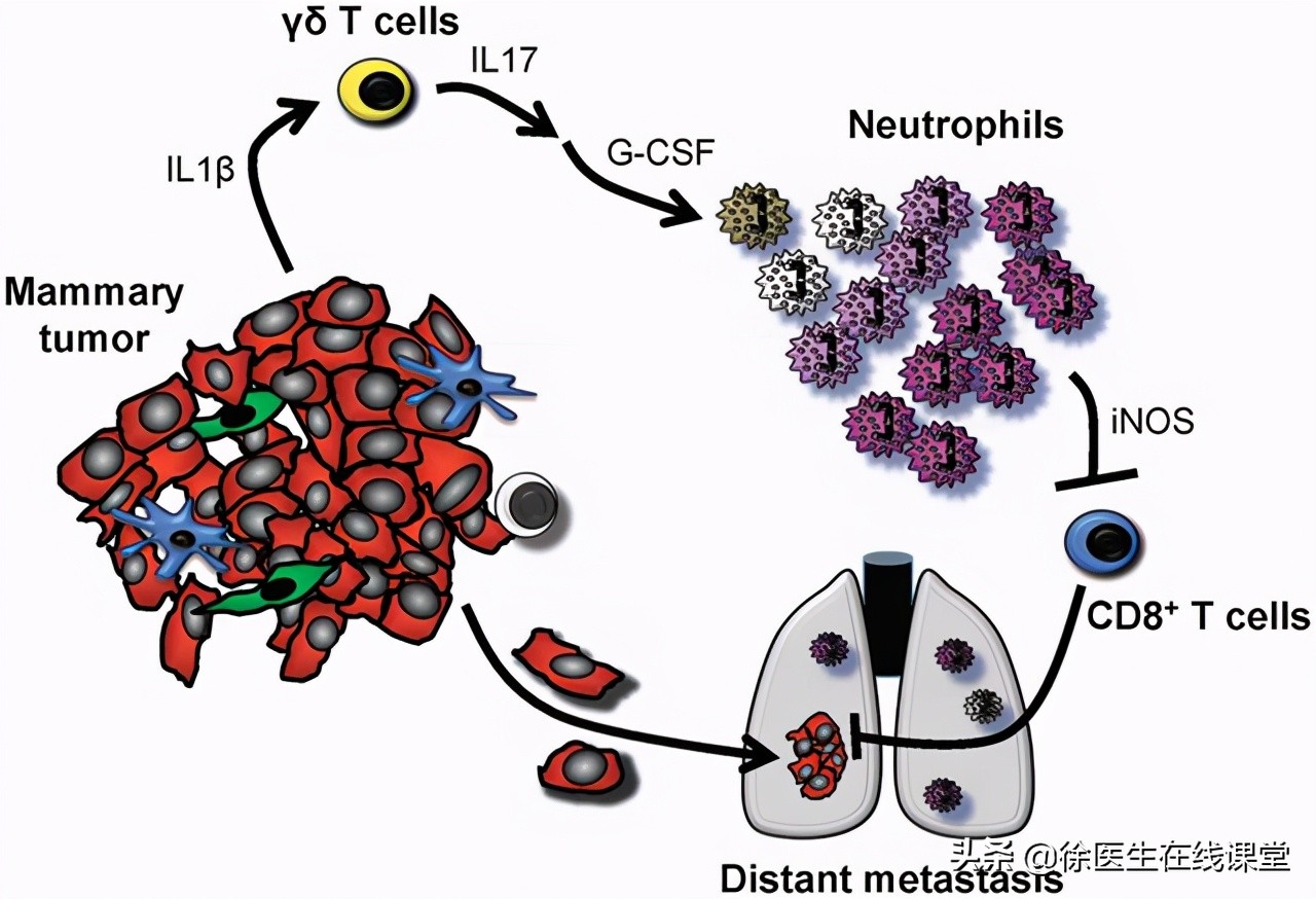 从炎症到癌症，一般需要多长时间？医生：3种炎症，尽量不要拖