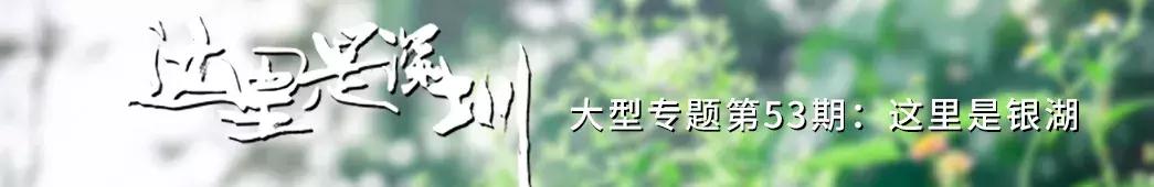 深圳银湖山游玩,深圳银湖有什么好玩的地方